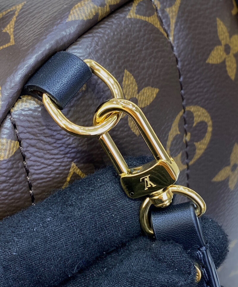 Louis Vuitton Palm Springs Mini M44873 Brown